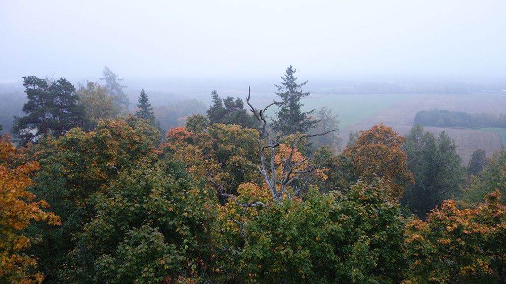 Photograph by Василий Селиванов