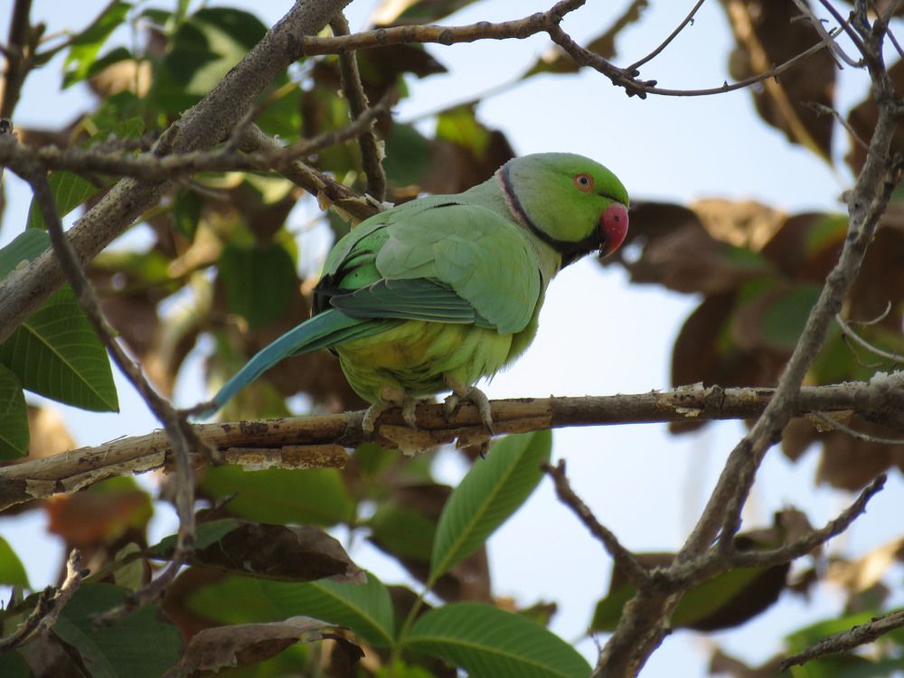 Photograph by sadegh alavi