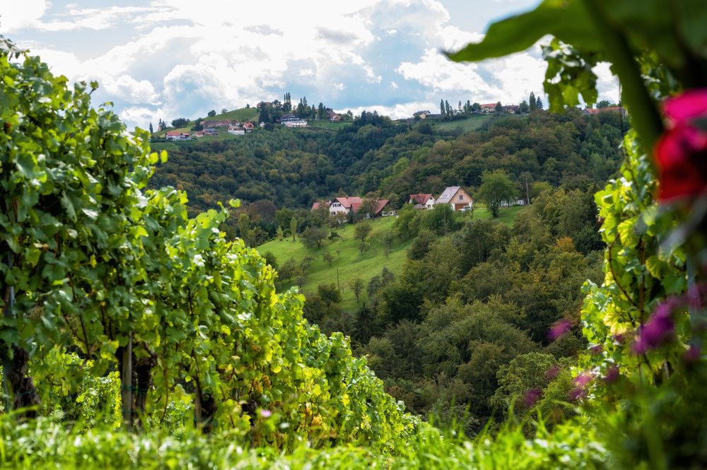 Photograph by Ирина Мошковская