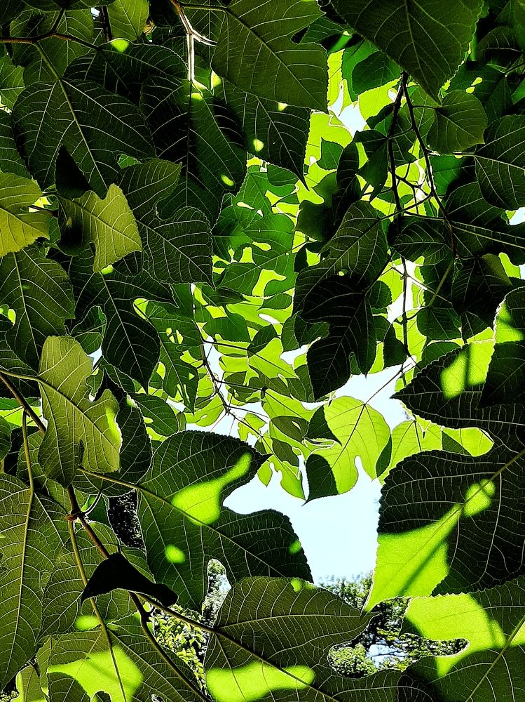 Photograph by Оксана Борисевич