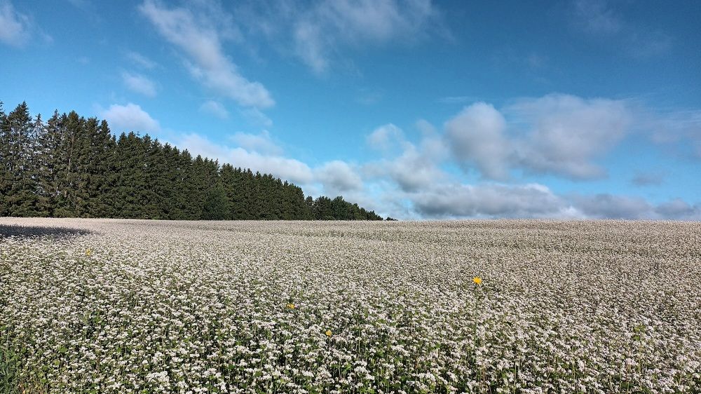 Photograph by Инна Демкив