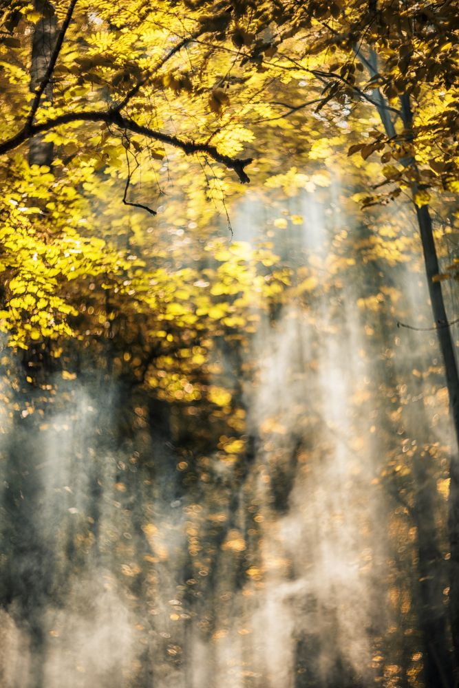 Photograph by Ксения Базарова