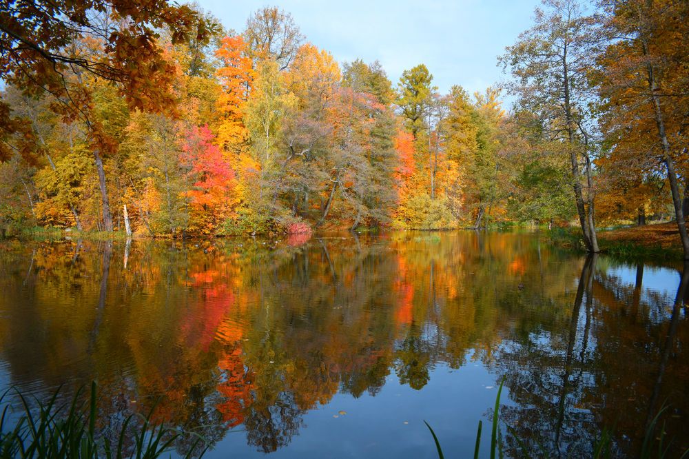 Photograph by Танзиля Завьялова