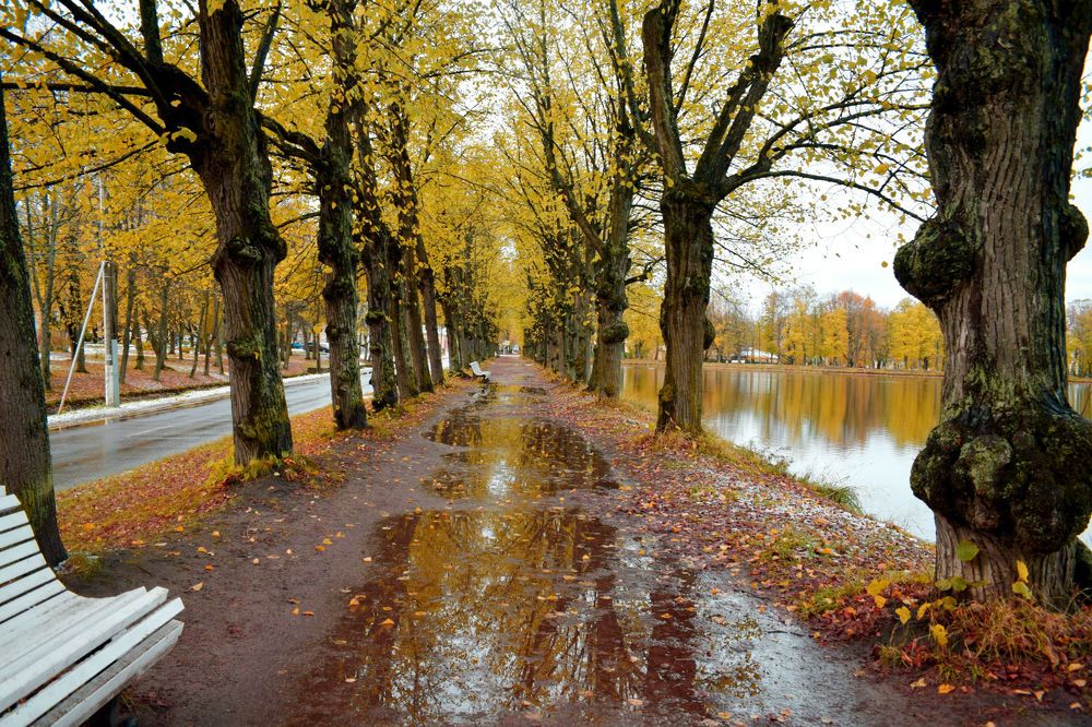 Photograph by Танзиля Завьялова