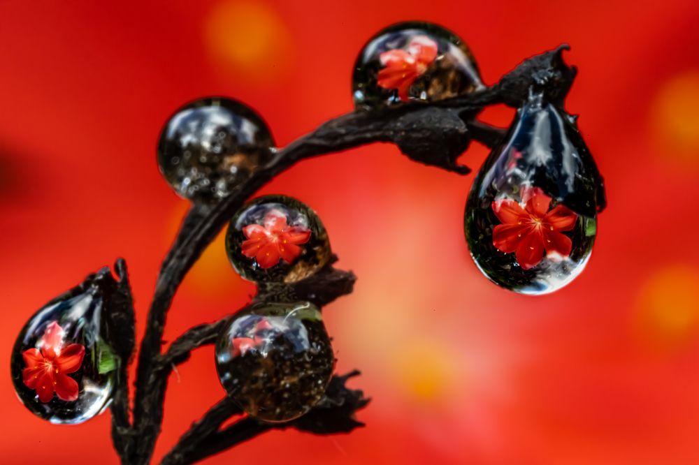 Photograph by Николай Фонарёв