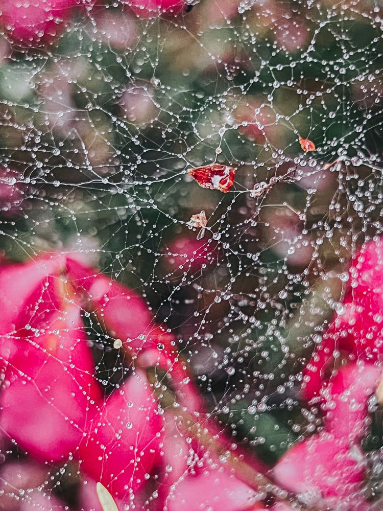 Photograph by Ирина Ломова