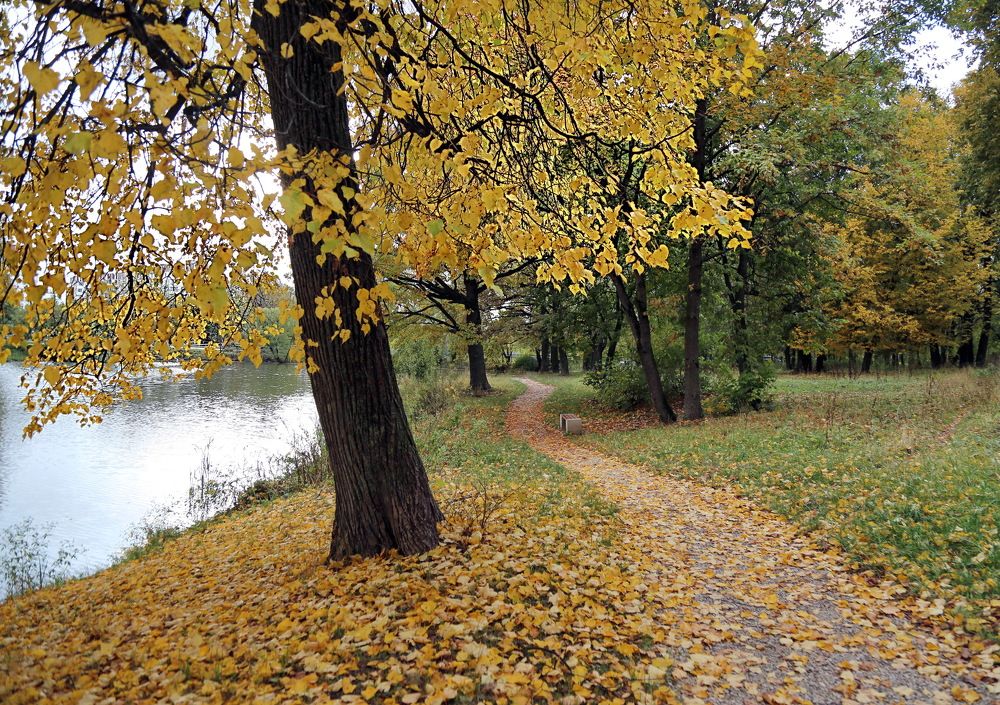 Photograph by Наталья Задерновская