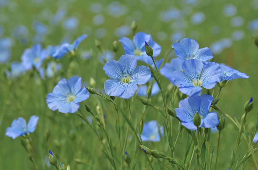 Photograph by LYUDMYLA POKRYSHEN