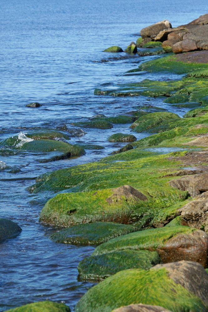 Фотография автора Сергей Барановский