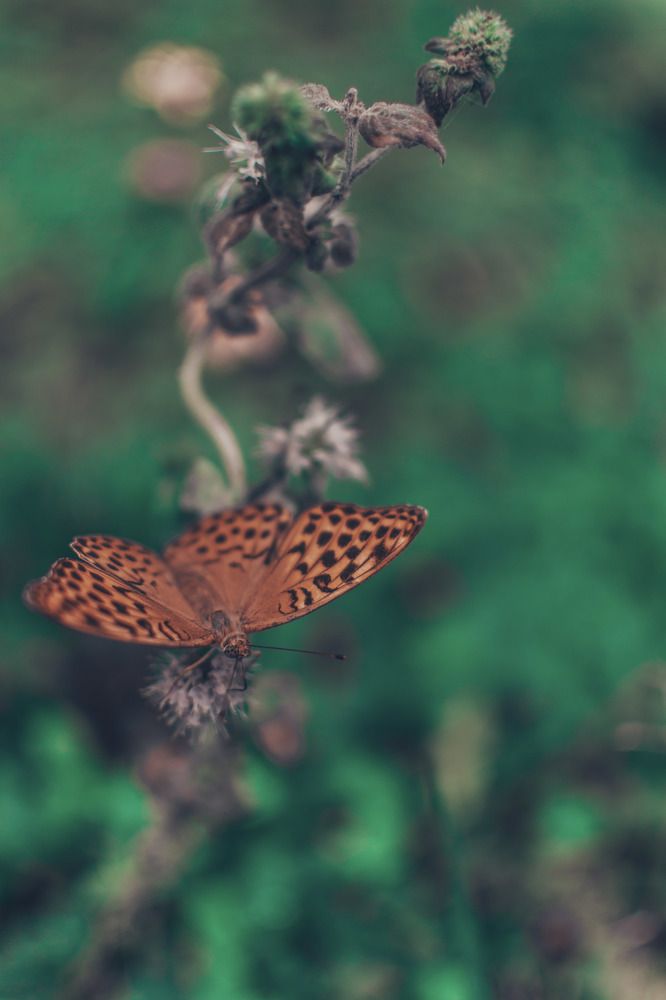 Photograph by Денис Нарышев