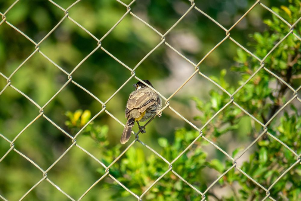 Photograph by sadegh alavi