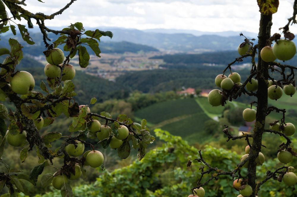 Photograph by Ирина Мошковская