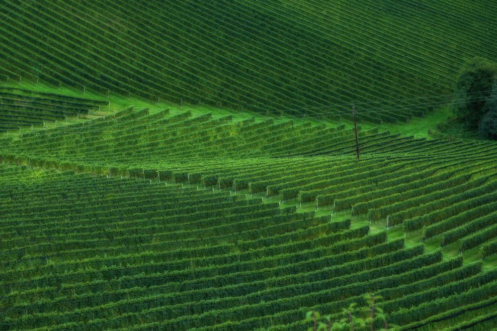 Photograph by Ирина Мошковская