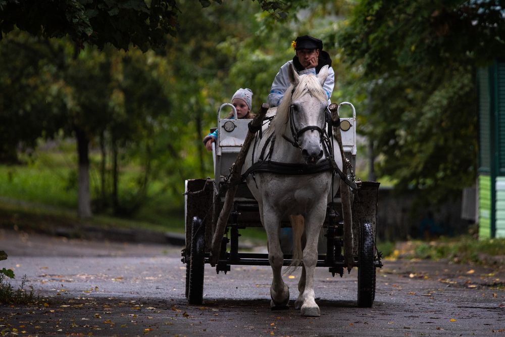 Photograph by наталья залогина