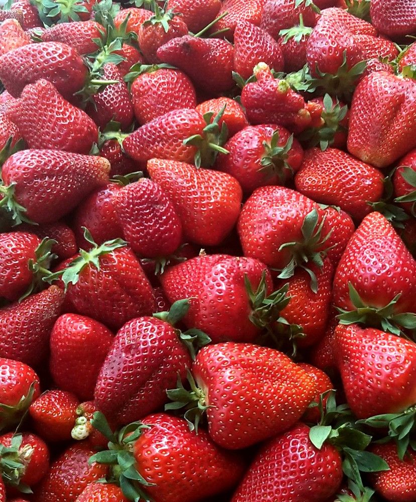 Photograph by Лада Денисова