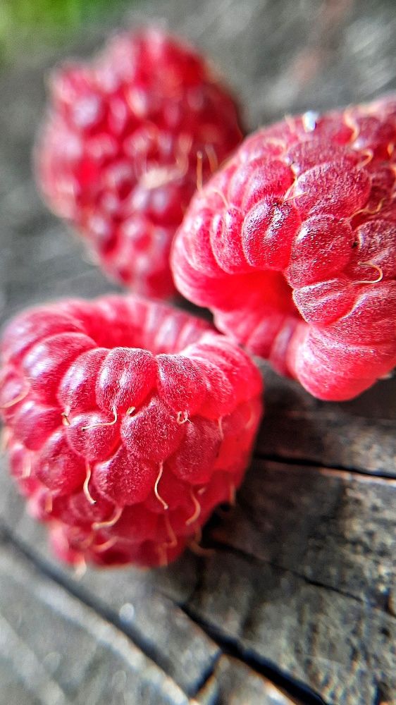 Photograph by Татьяна Григорчук