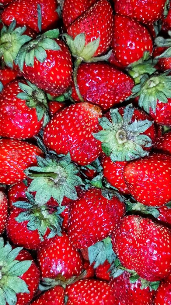 Photograph by Елена Акимова