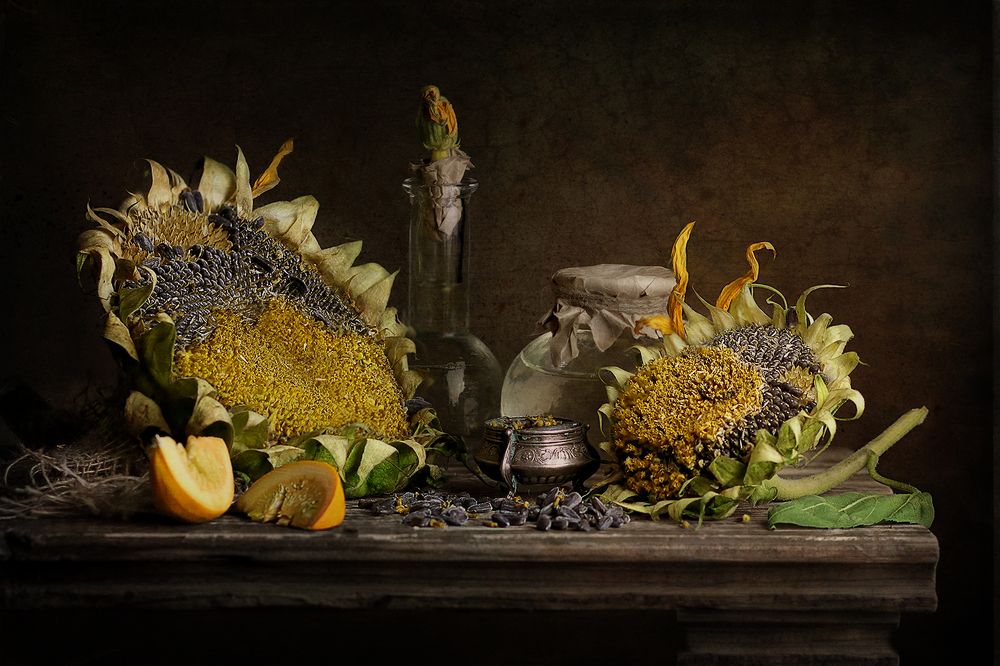 Фотография автора Светлана Дерябина