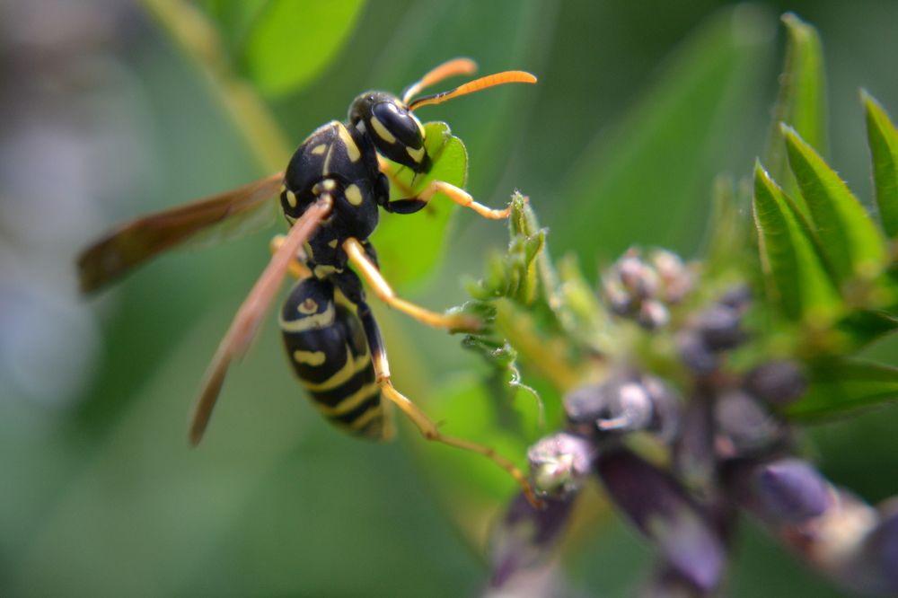 Photograph by Ольга Сафронова