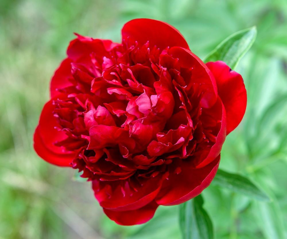 Photograph by Ольга Дядченко