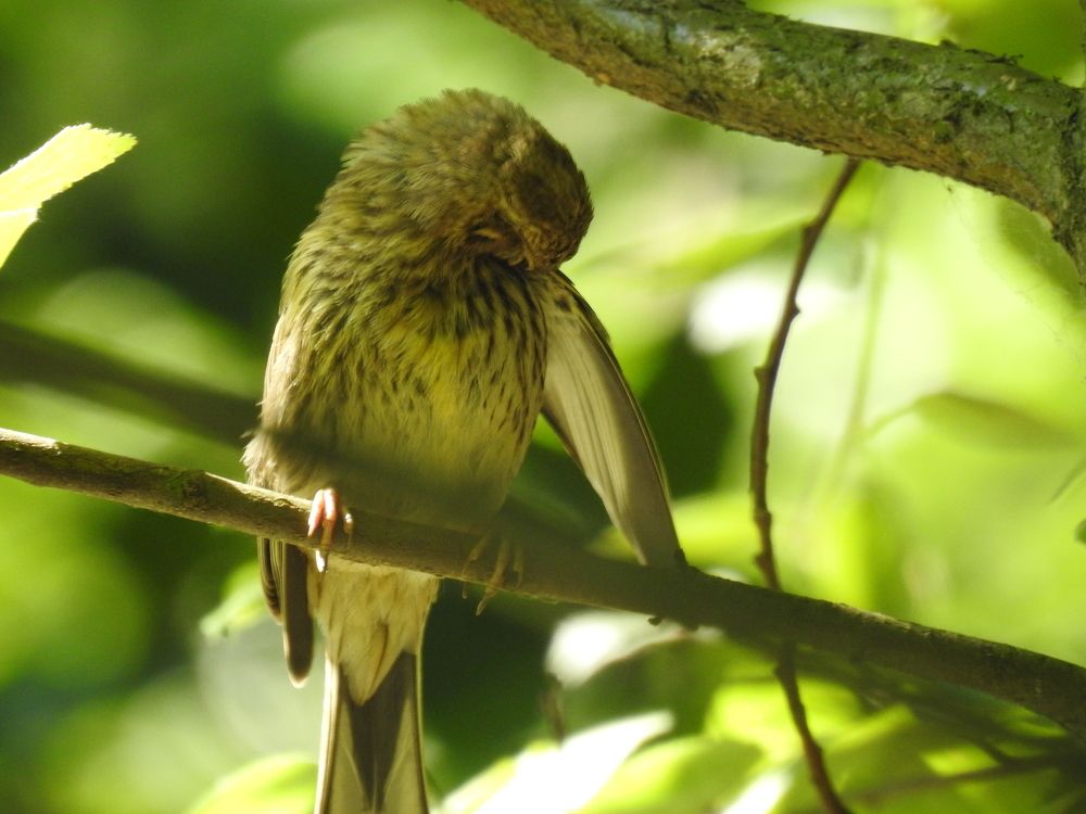 Photograph by Георгий Салюков