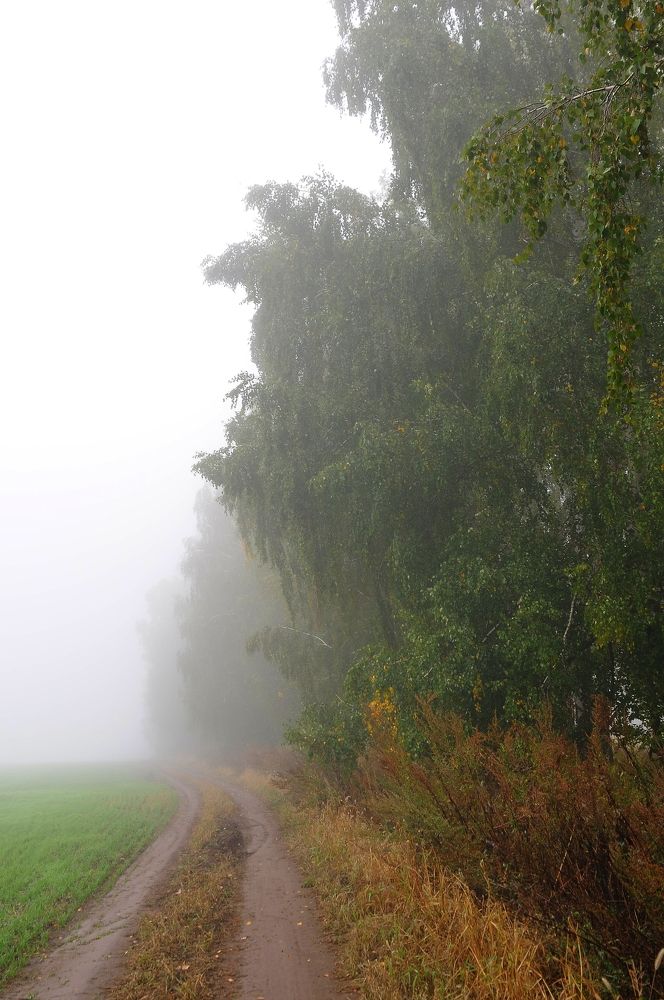 Photograph by Владимир