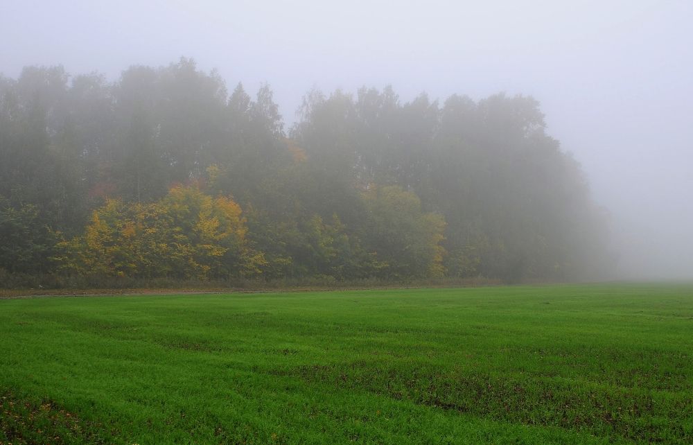 Photograph by Владимир
