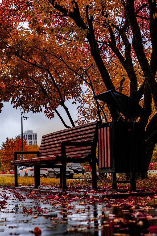 Photograph by Сергей Аникушин