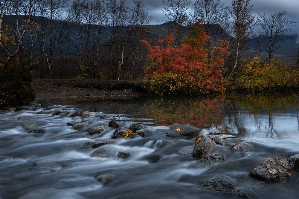 Костер рябины красный