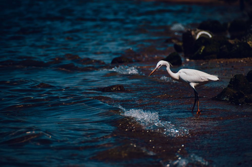 Photograph by Андрей Петров
