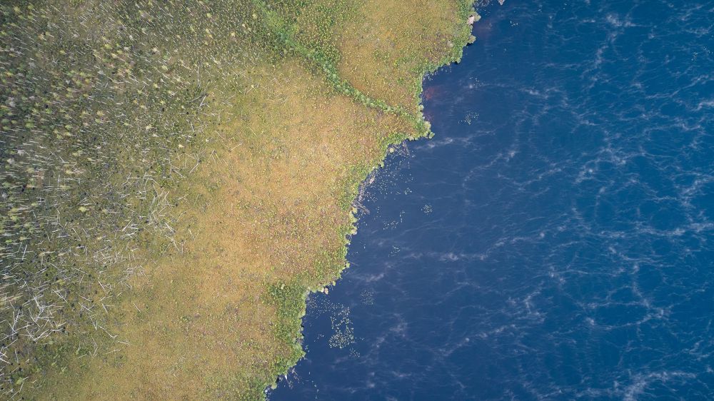 A Variety of Chaos Types