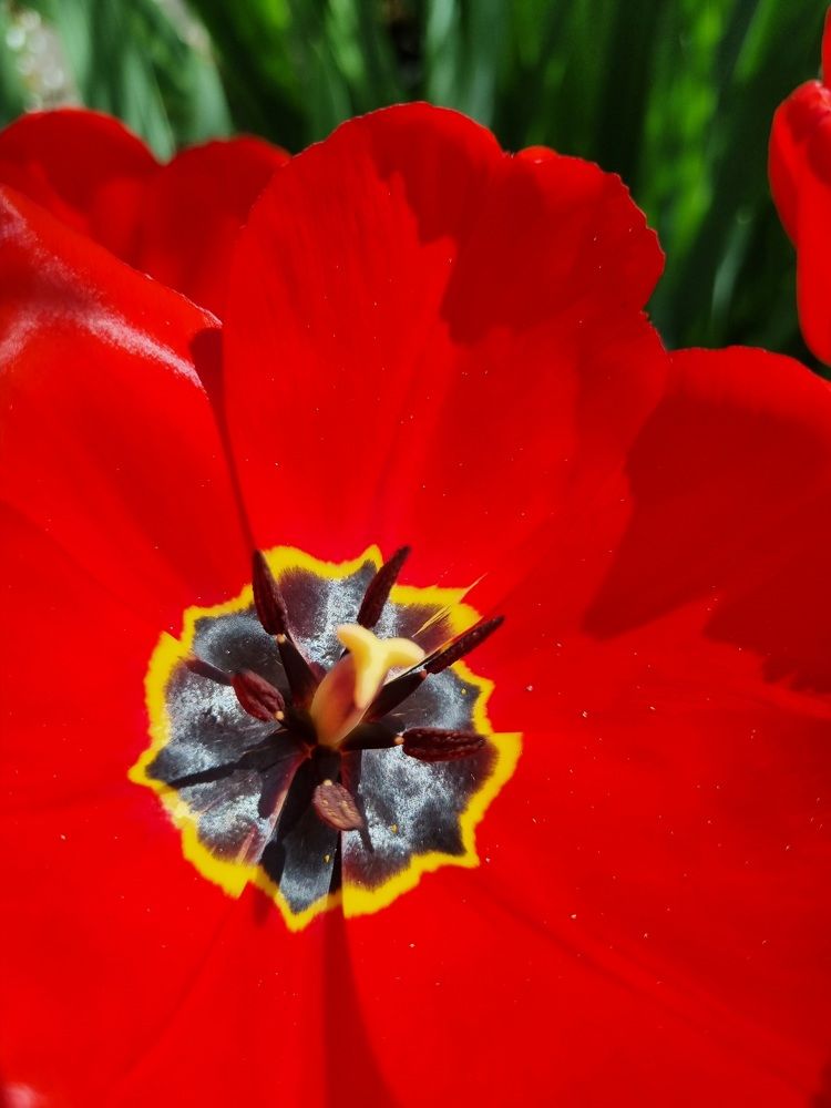 Photograph by Hanna Bourne