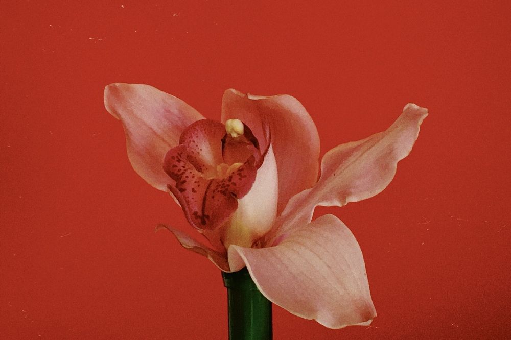 Photograph by Станислав Ситников