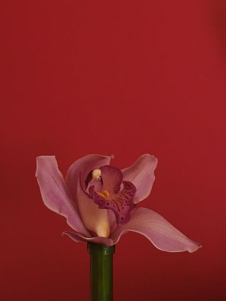 Photograph by Станислав Ситников