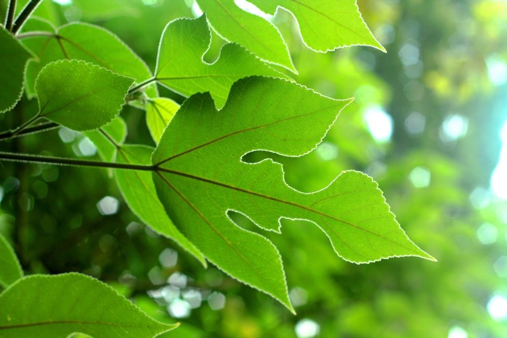 Photograph by Ксения Сёмина