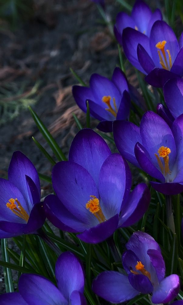 Photograph by Ирина Панюк