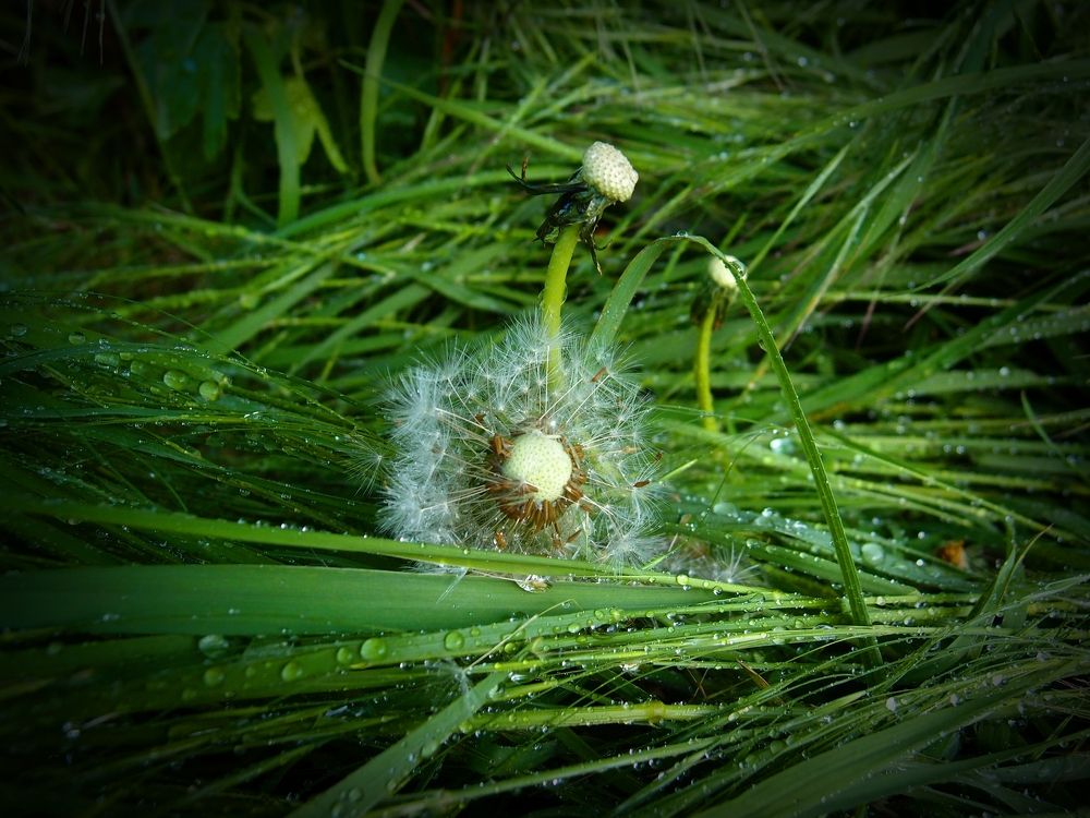 Photograph by Ксения Сёмина