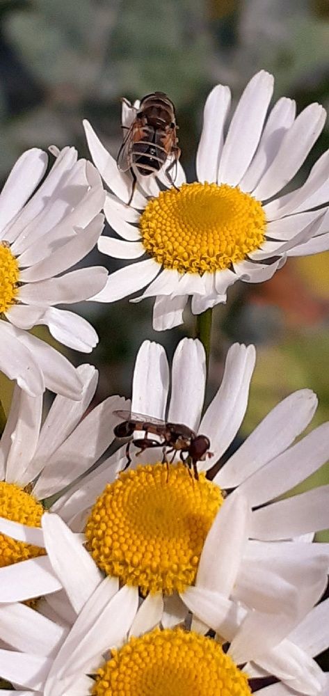 Photograph by Евгения Ульянова