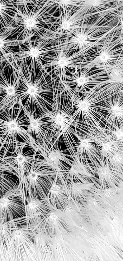 Photograph by Евгения Ульянова