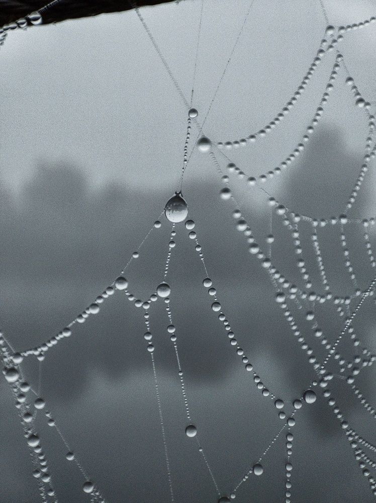 Photograph by Хельга Крас