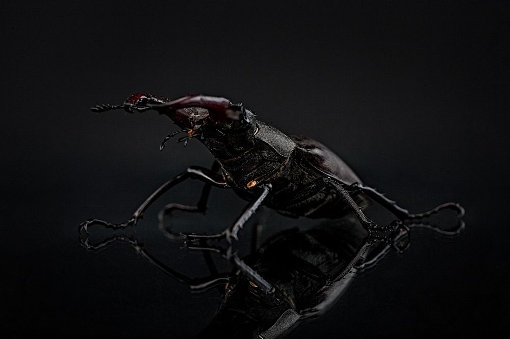 Photograph by Дёгтев Евгений