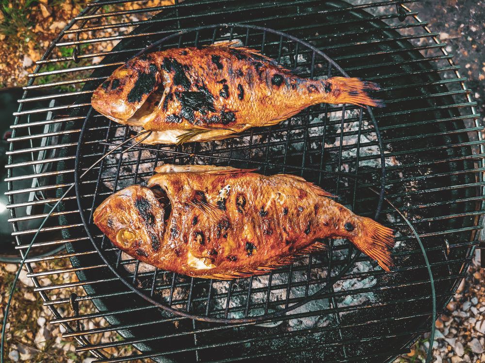 Photograph by Ana Puzar