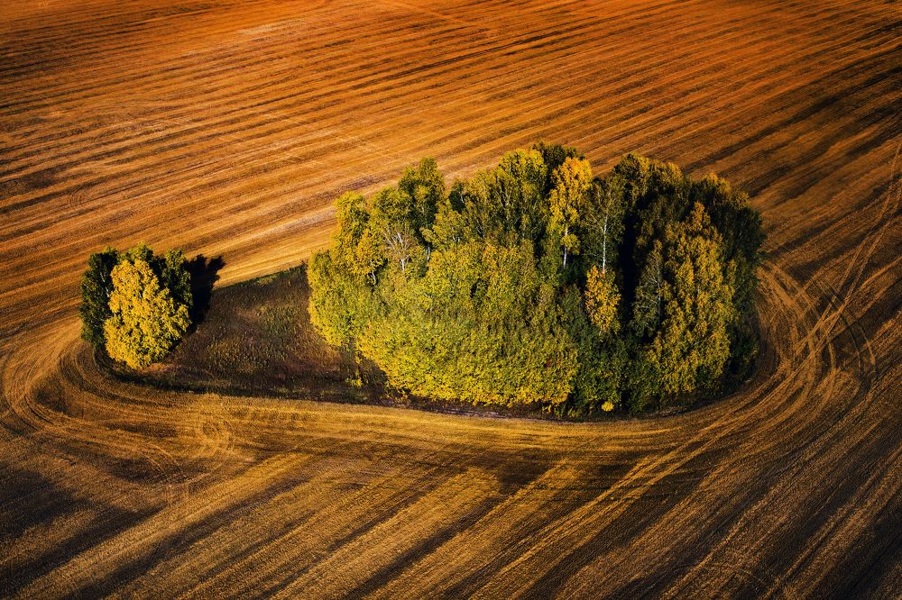 Photograph by Тезиков Сергей