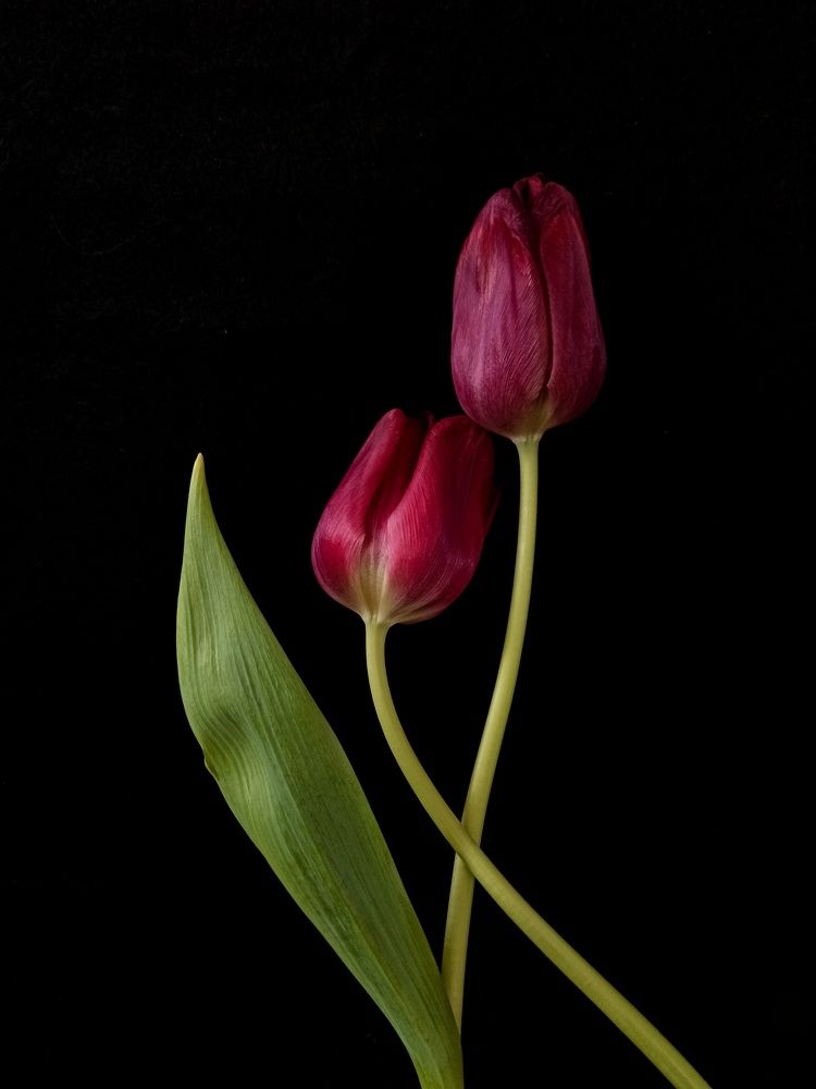 Photograph by Ирина Дегтярева