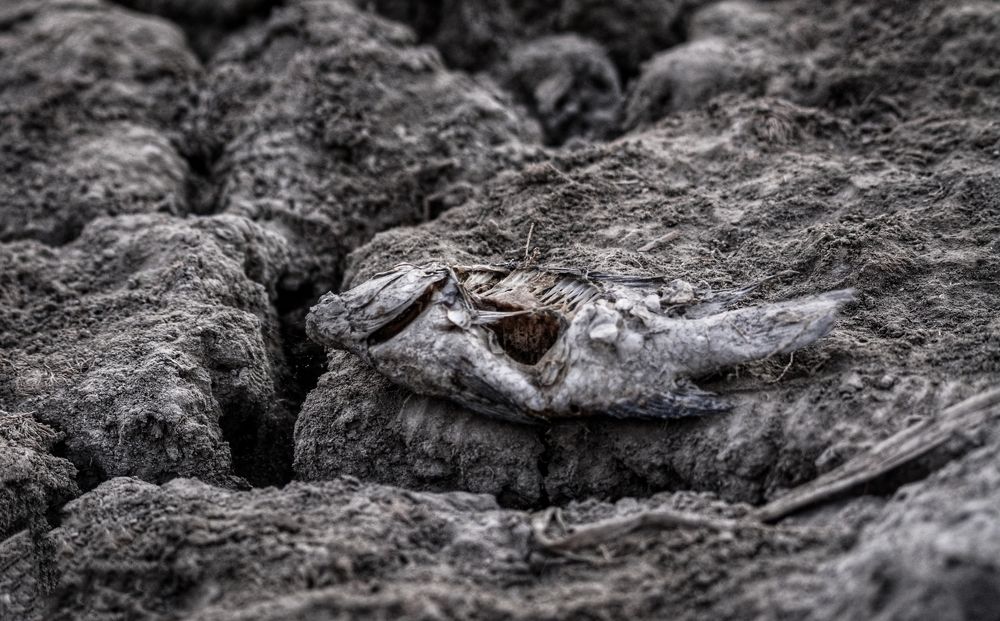 Photograph by Montadher AL-waeil