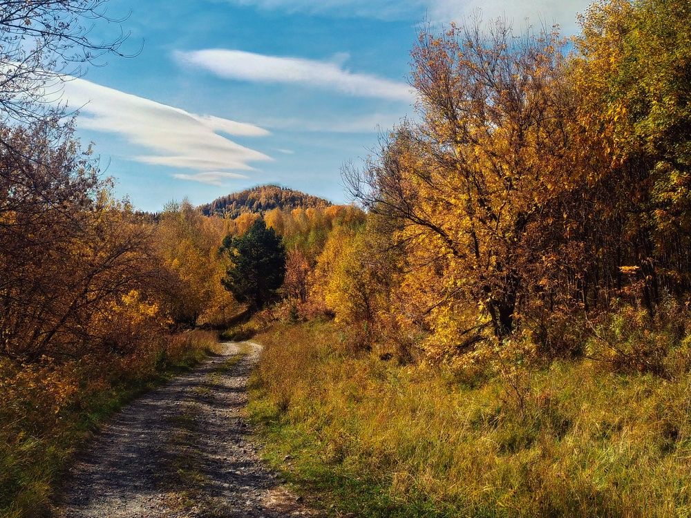 Photograph by Ольга Юминова