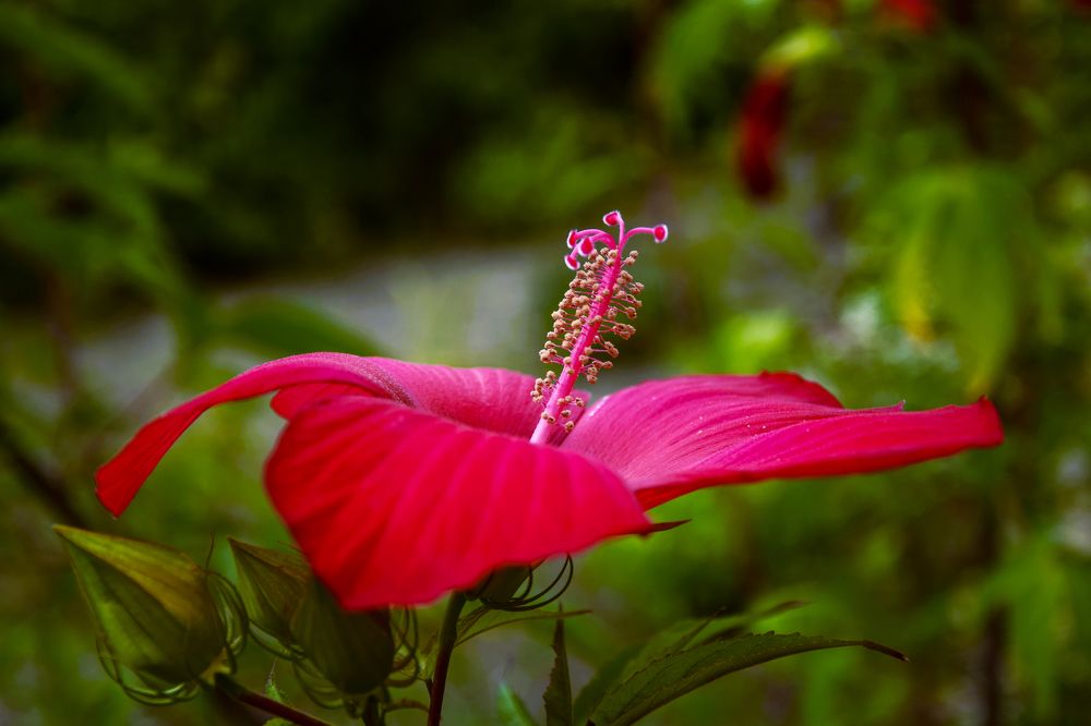 Фотография автора Альбина Хвастунова