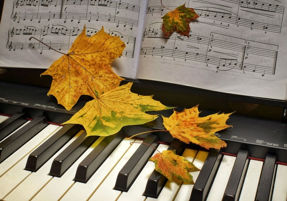 Фотография автора Альбина Хвастунова