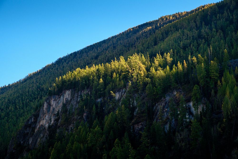 Photograph by Александр Потапов