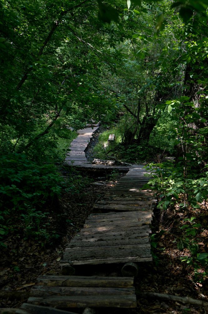 Photograph by Светлана Нестерова